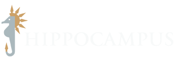 Hippocampus Hotel