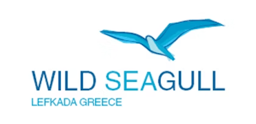 Wild Seagull