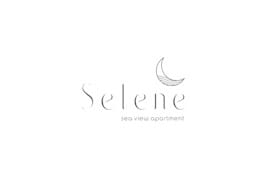 Selene Seaview Apartment Naxos