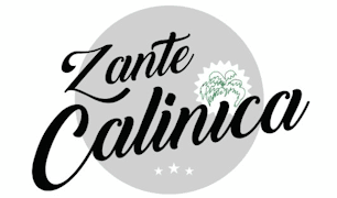 Zante Calinica Hotel