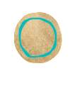 Eden Island