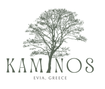Kaminos Hotel by Nin & Bau