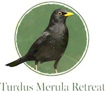 Turdus Merula Retreat
