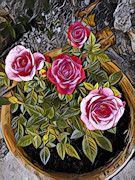 The Rose Garden Villa