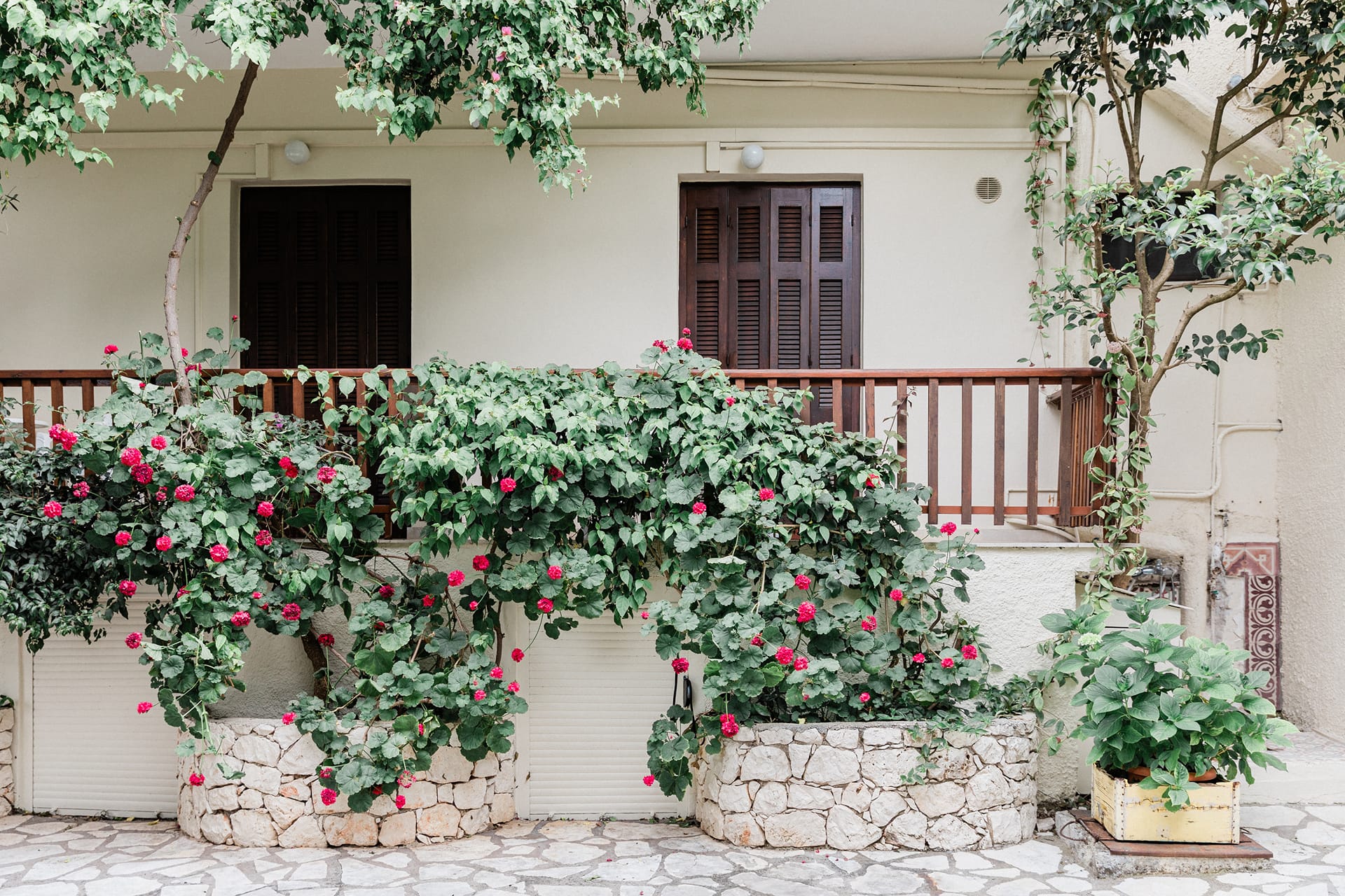 Afroditi Pansion Lefkada, ,