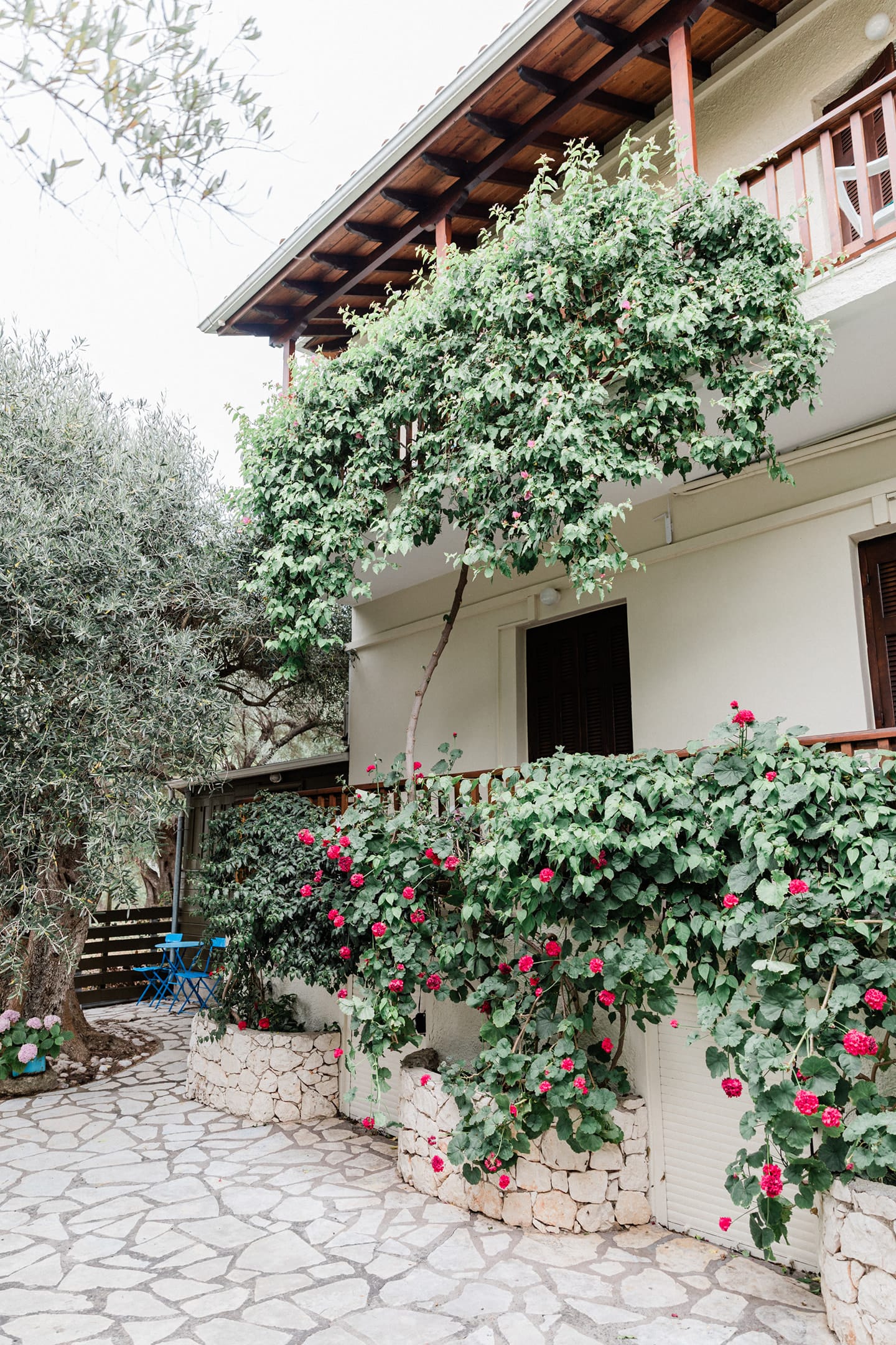 Afroditi Pansion Lefkada, ,