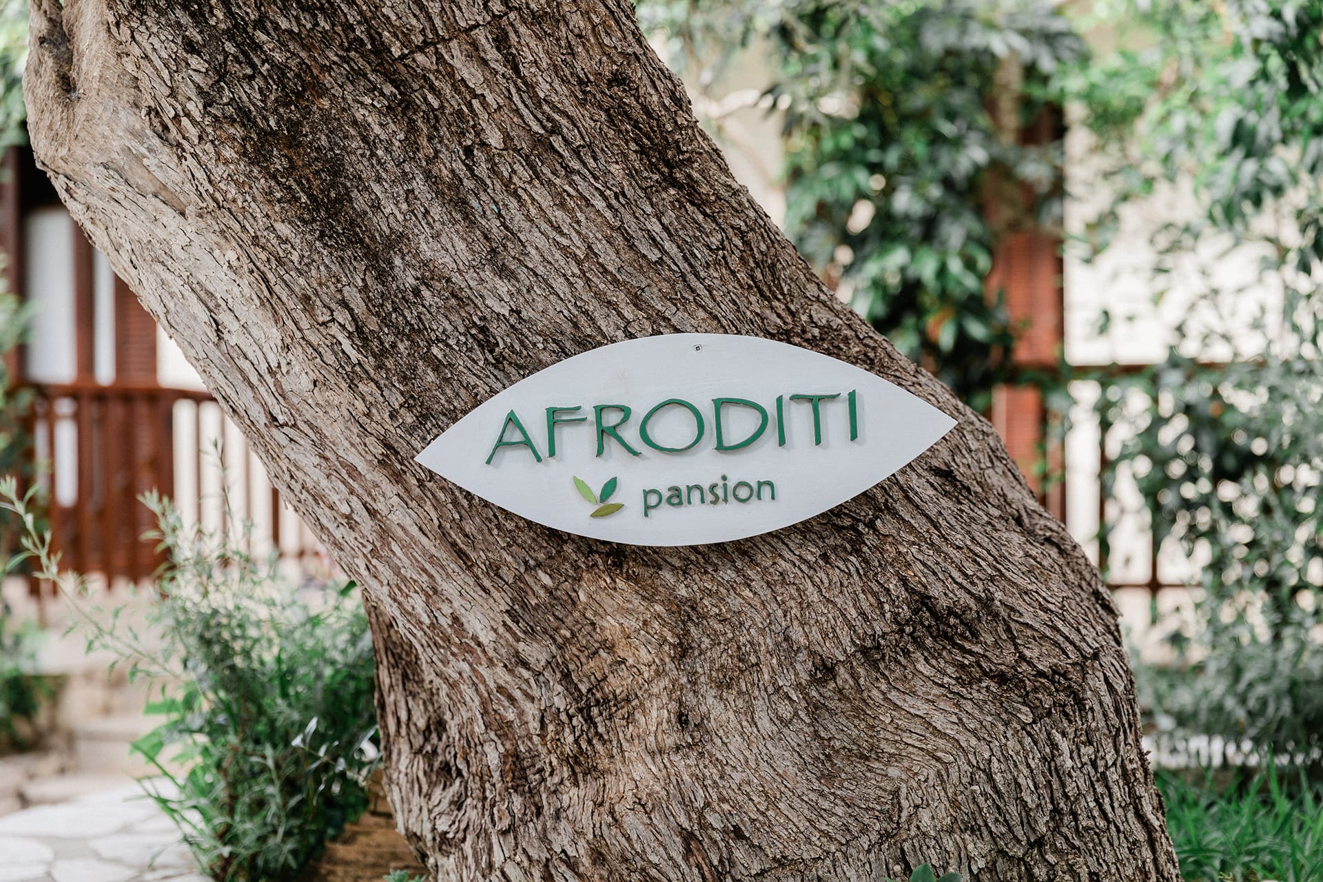 Afroditi Pansion Lefkada, ,