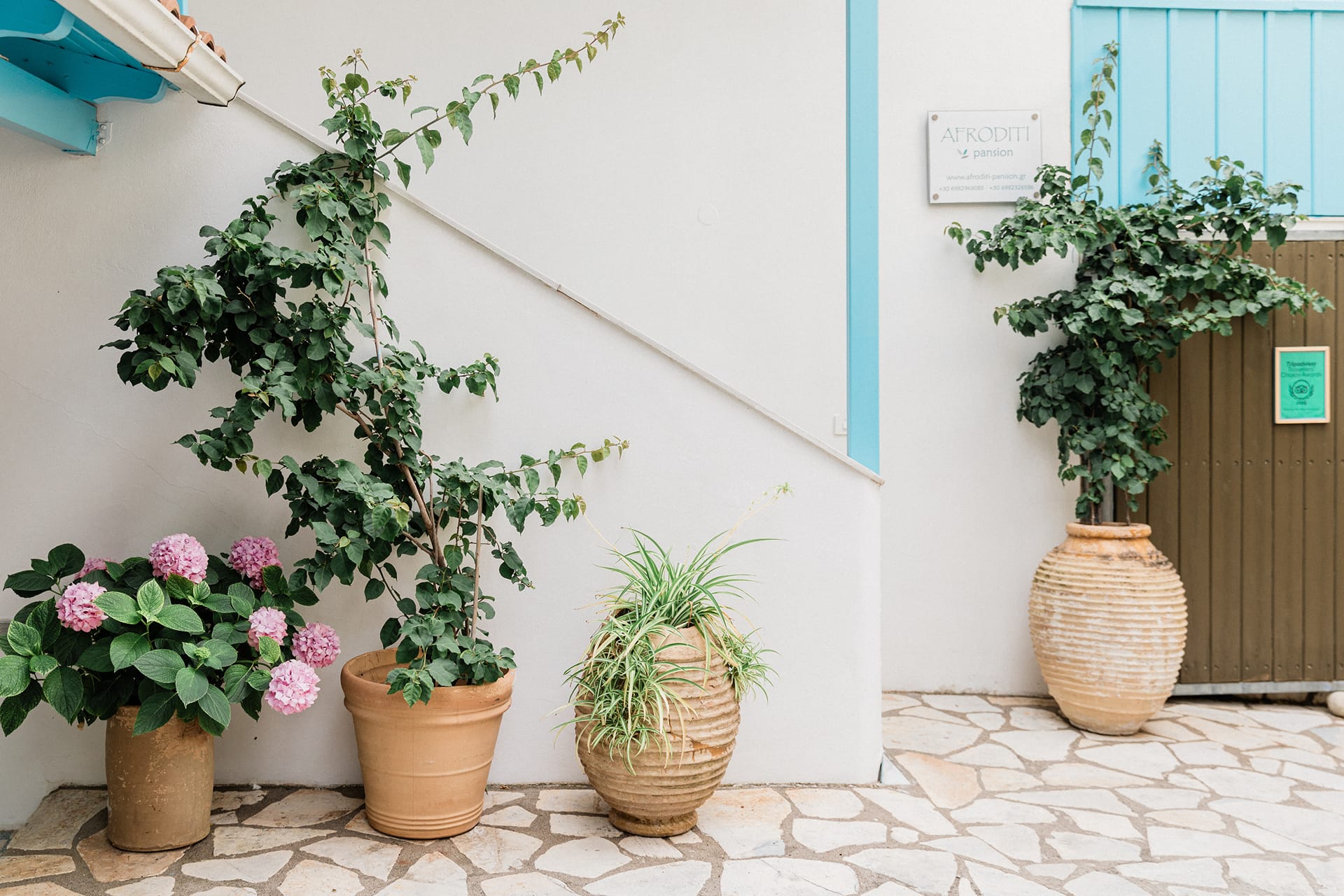 Afroditi Pansion Lefkada, ,