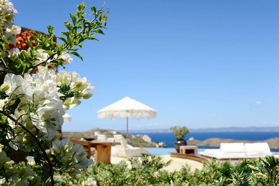 Junior Suite Coral with Sea View