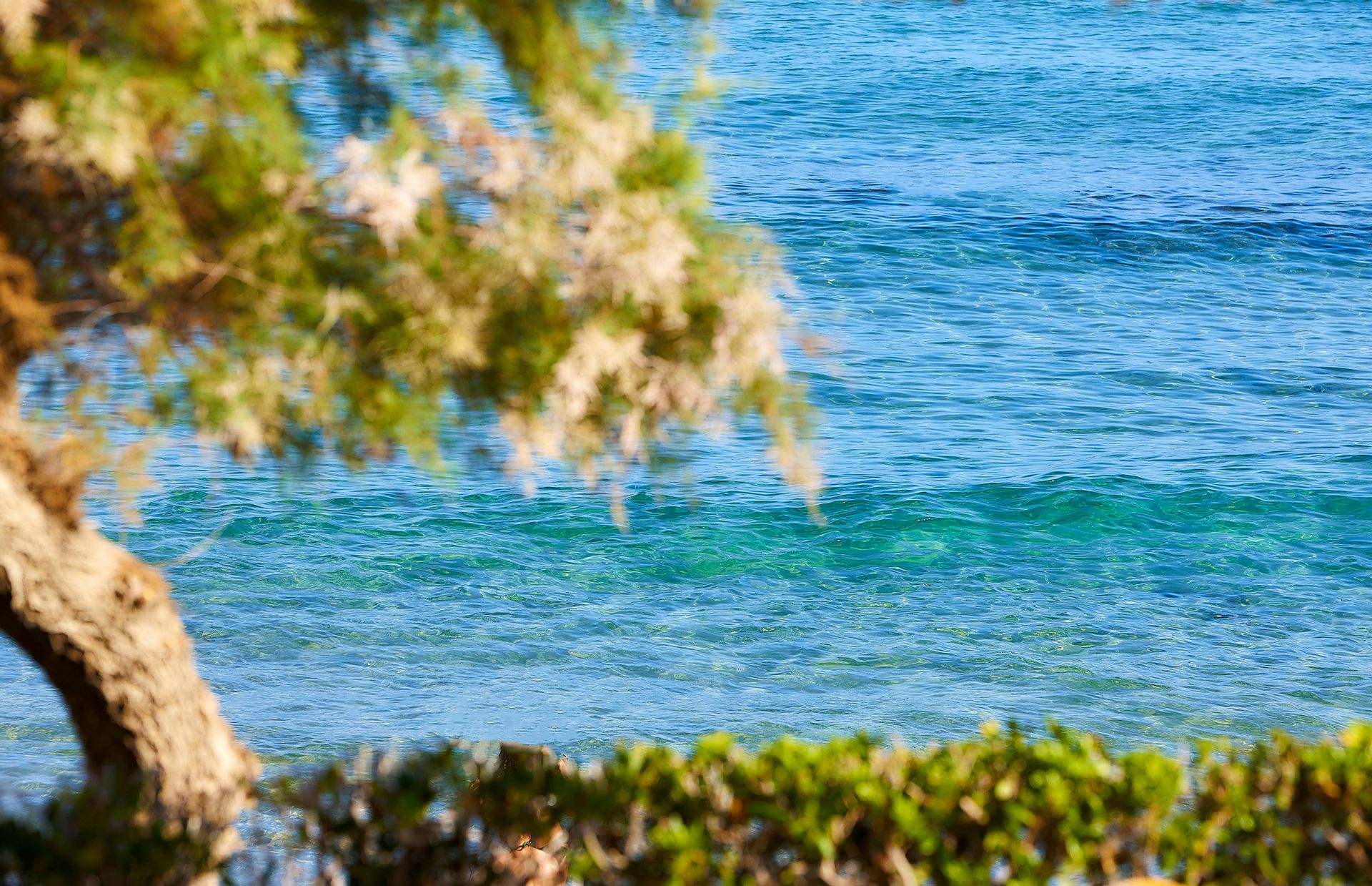 Comfort Room Sea View