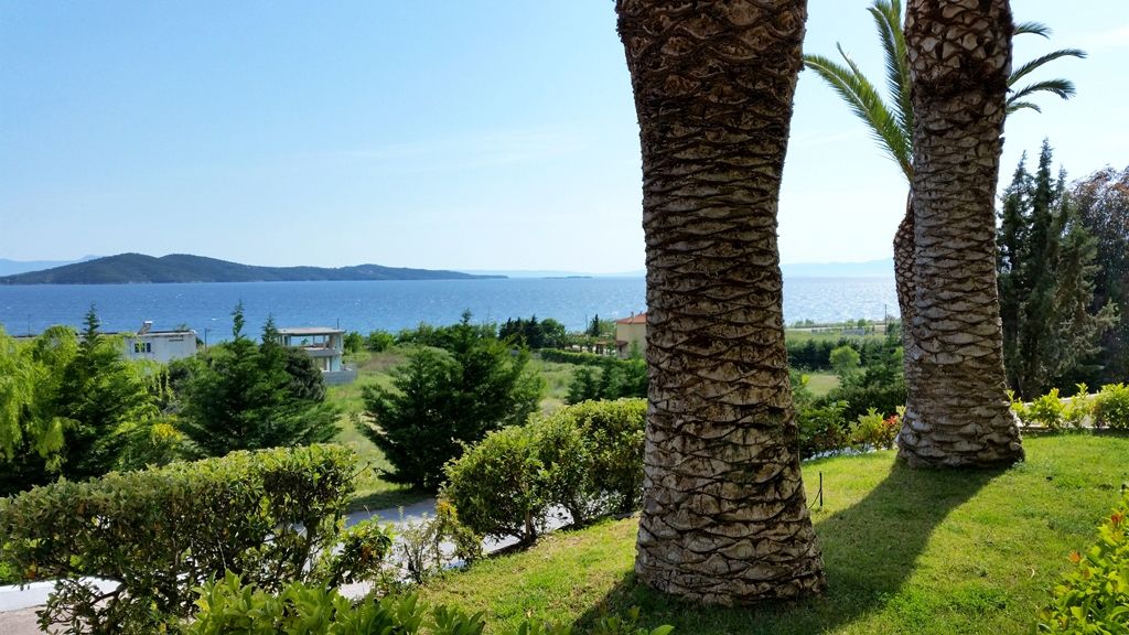 Alexandros Palace Hotel Amp; Suites Halkidiki