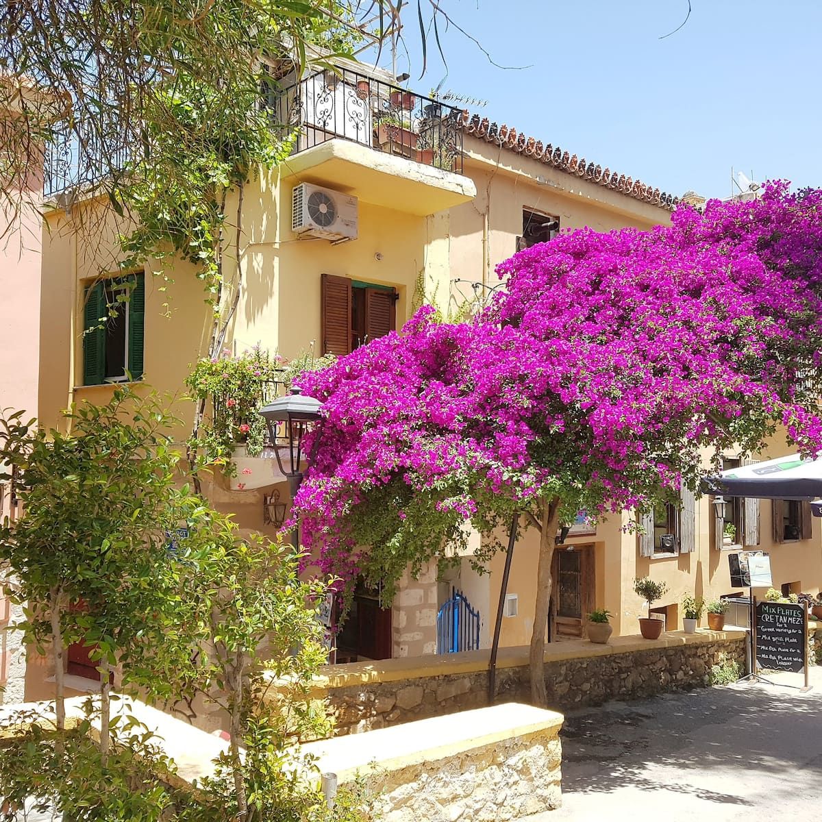 Aoria Estate Old Port  - pic #2