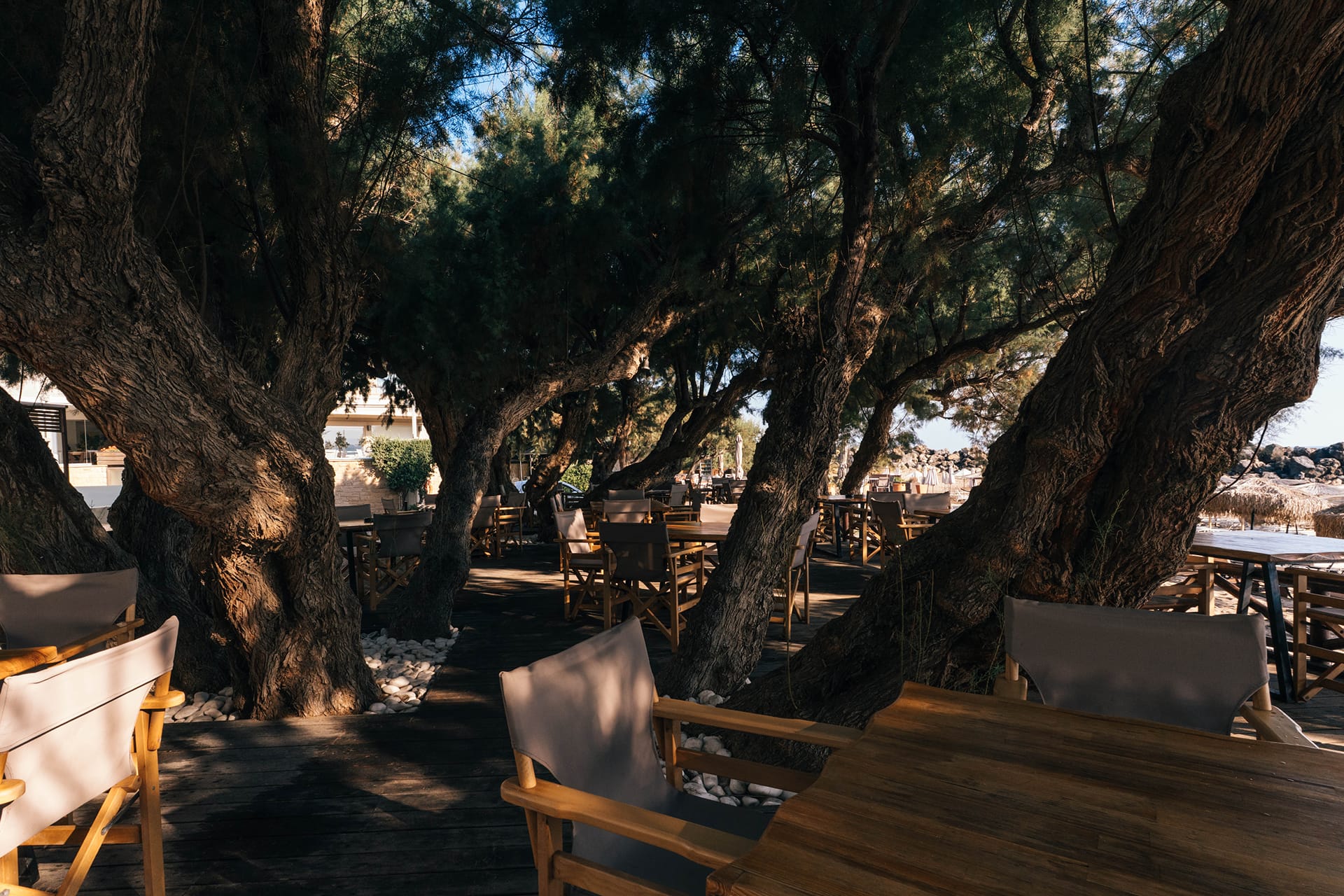 Aphrodite Beach Hotel Chania, ,