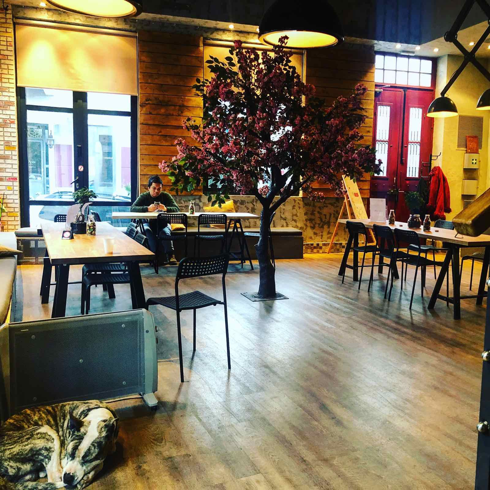 Iconic Athens Hostel, ,