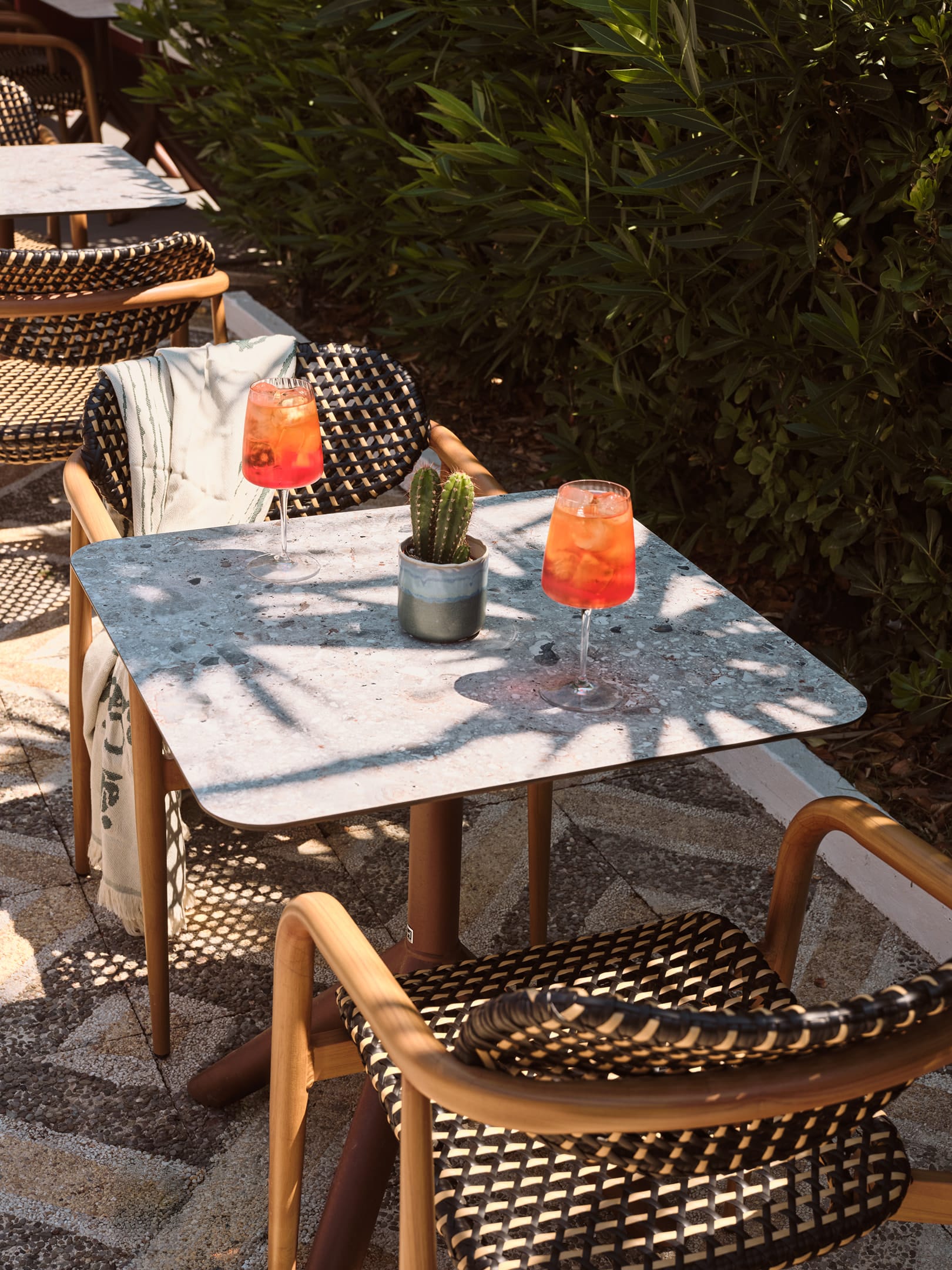 Cactus Hotel Zakynthos, ,