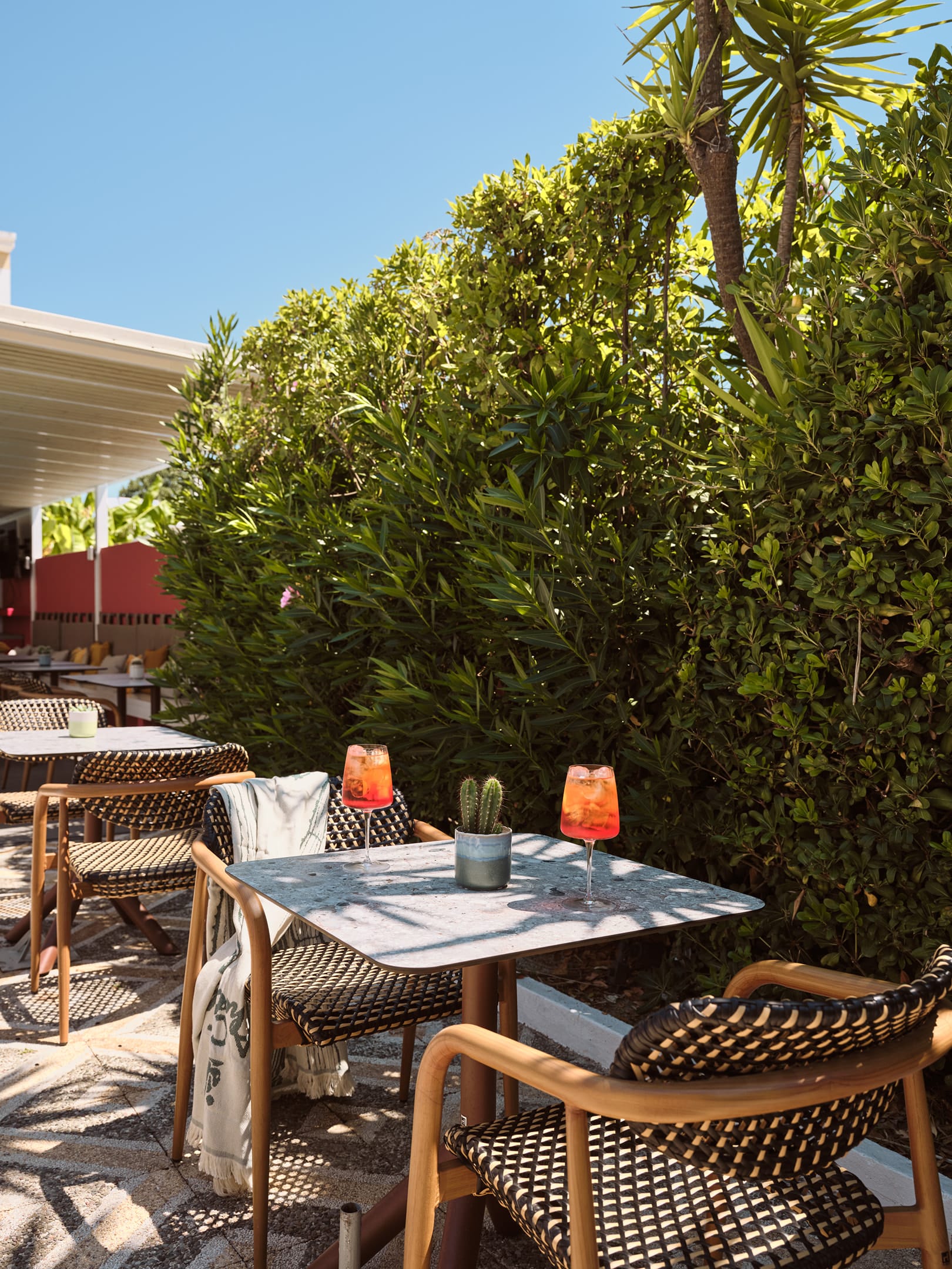 Cactus Hotel Zakynthos, ,