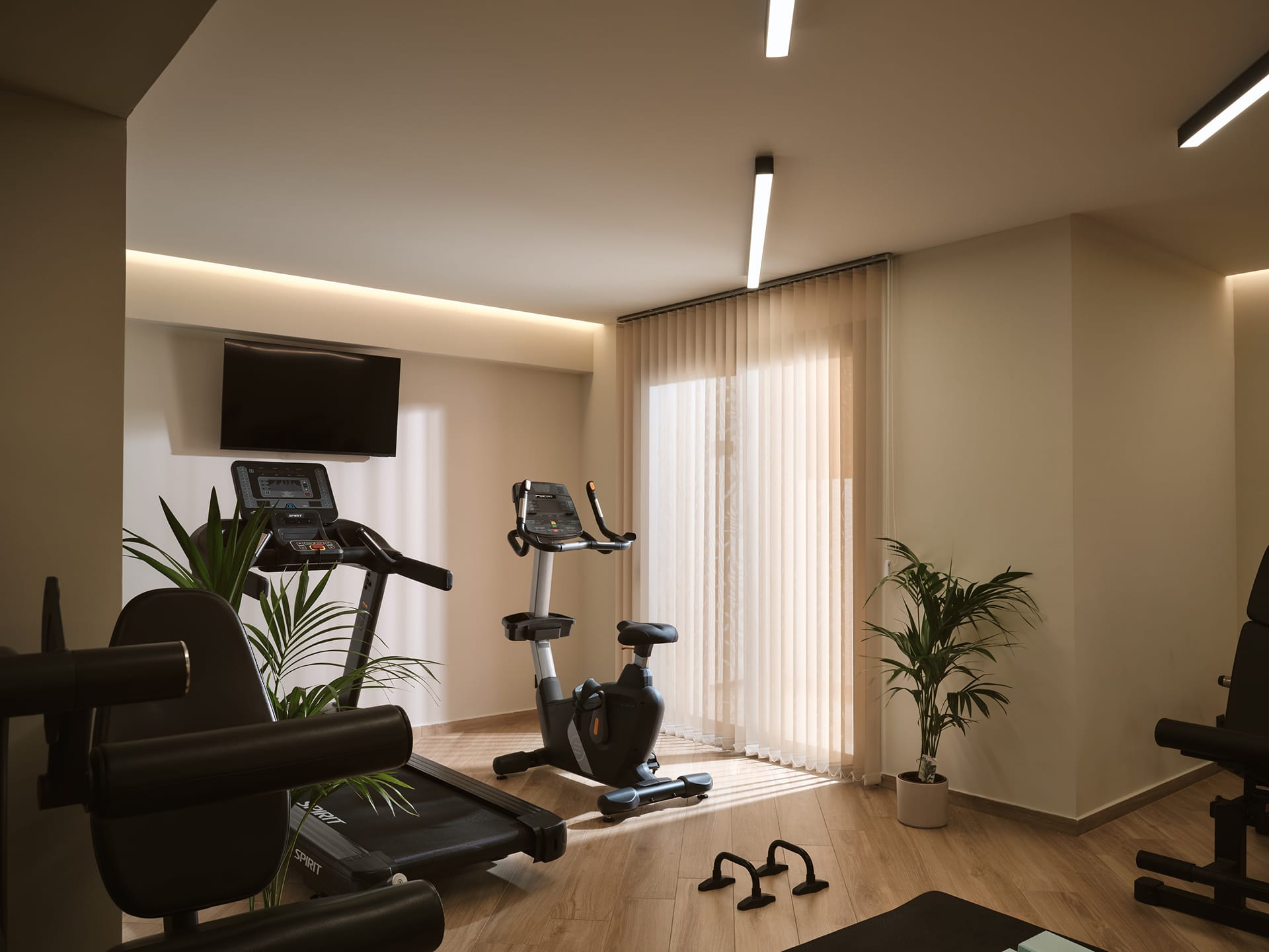 Cactus Hotel Zakynthos, ,