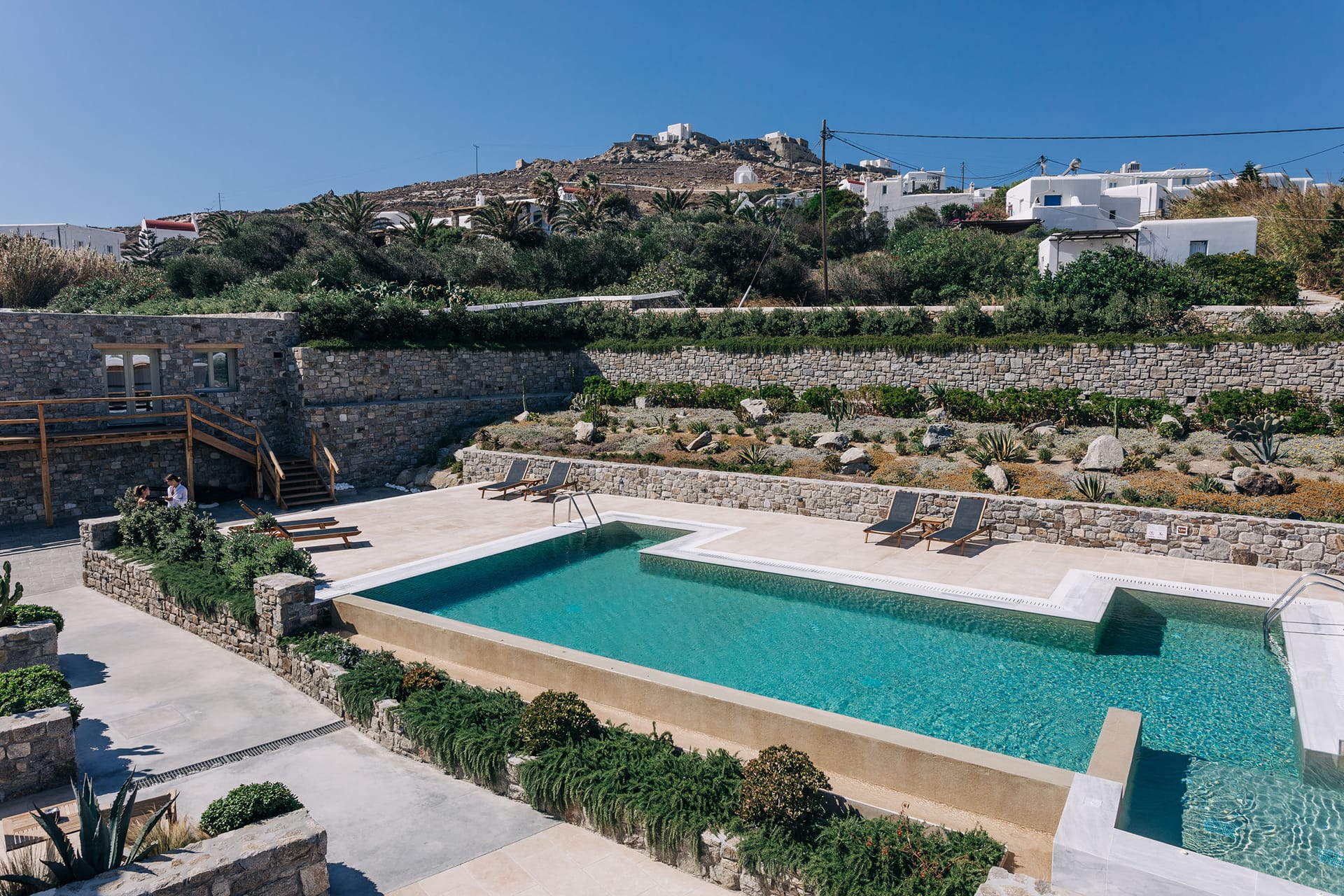 Mykonos Cactus