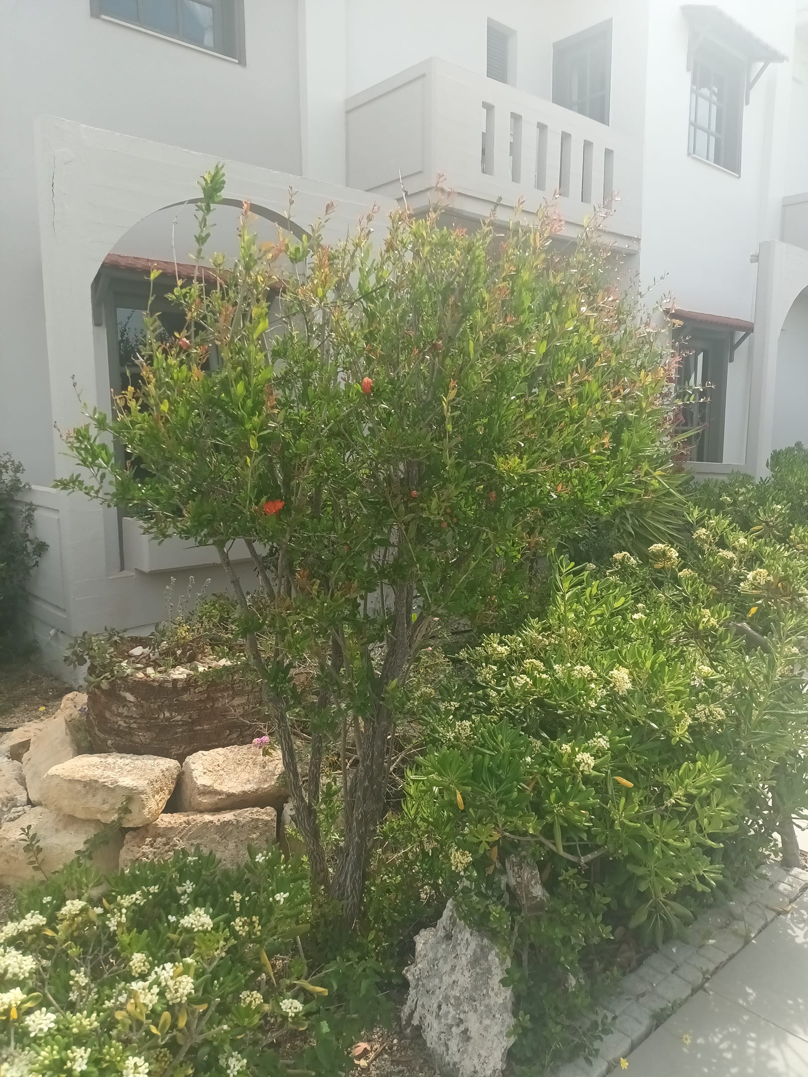 Cathrin Suites Chania, ,