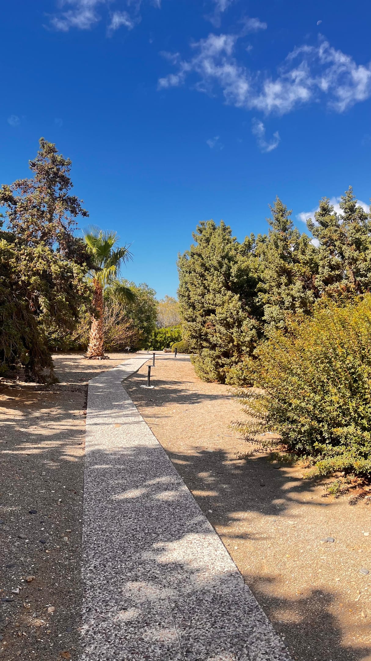 Cedar Bay Villas  - pic #9