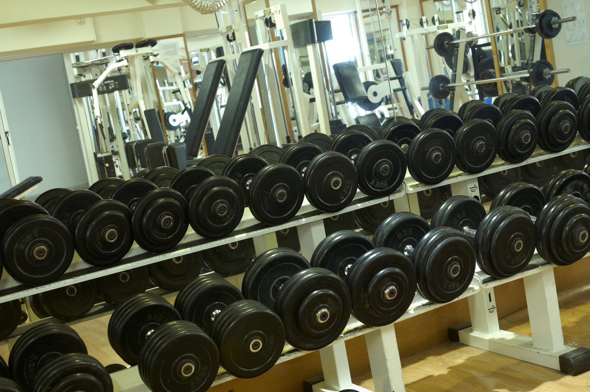 cleopatra-hotel-nicosia-cyprus-book-online