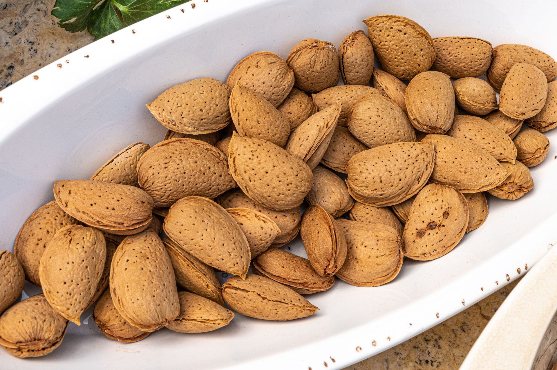 Comfort Stay Athens Airport Hotel, ,