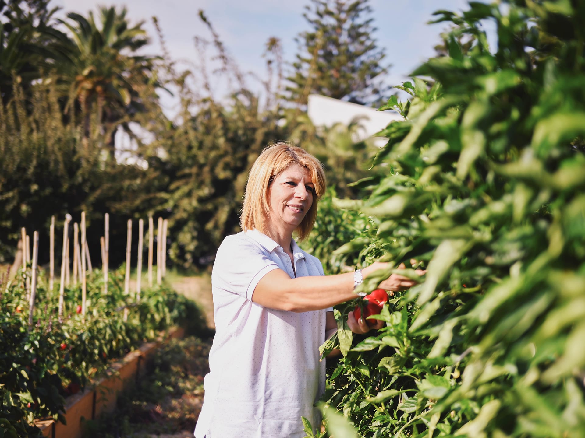 Grecotel Creta Palace, ,