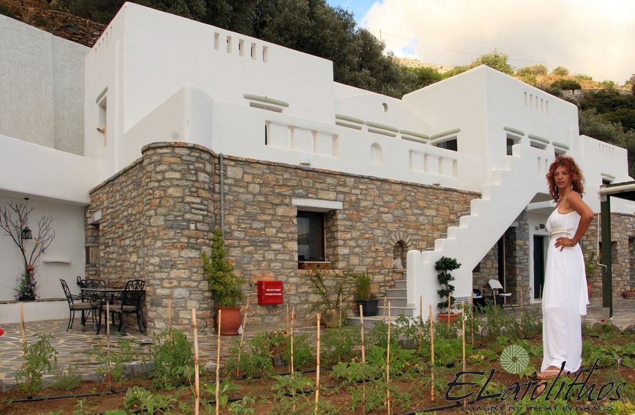 ELaiolithos Luxury Retreat in Naxos 4 * ELaiolithos Luxury Retreat in Naxos 4 *