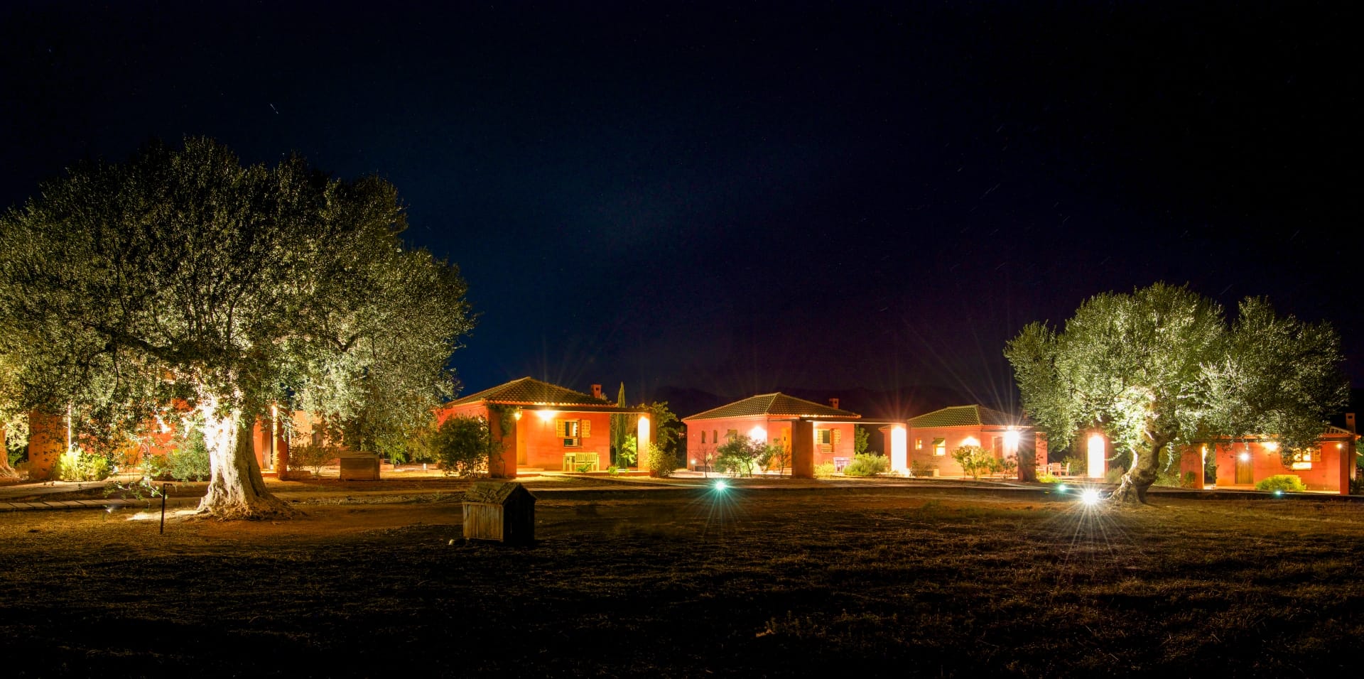 The Olive Tree House