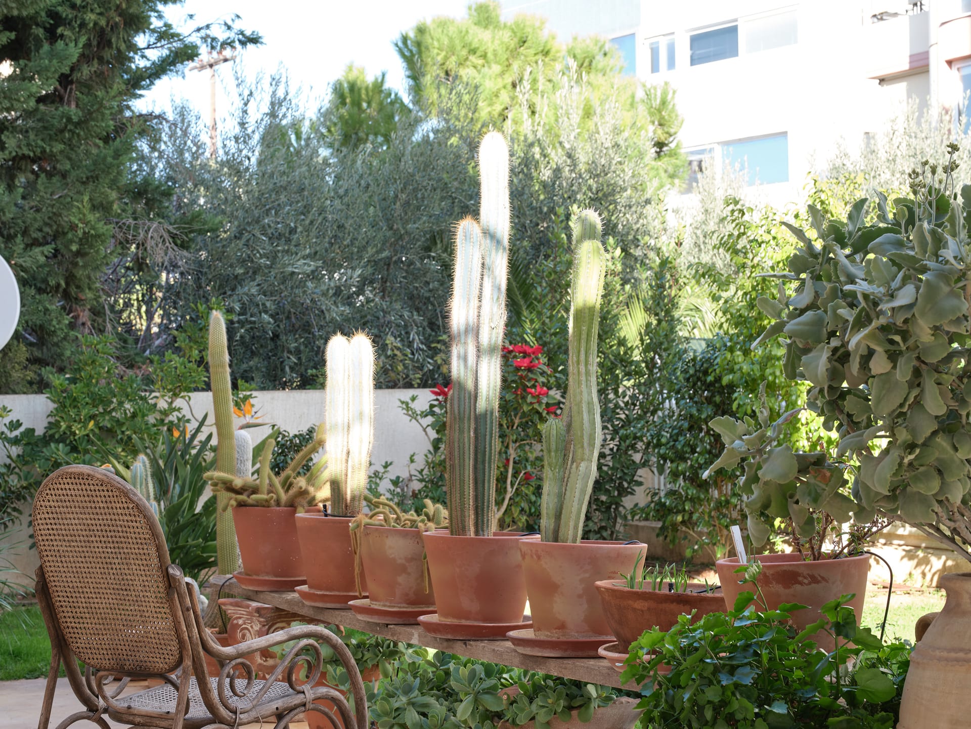 Evi's Voula Home, ,