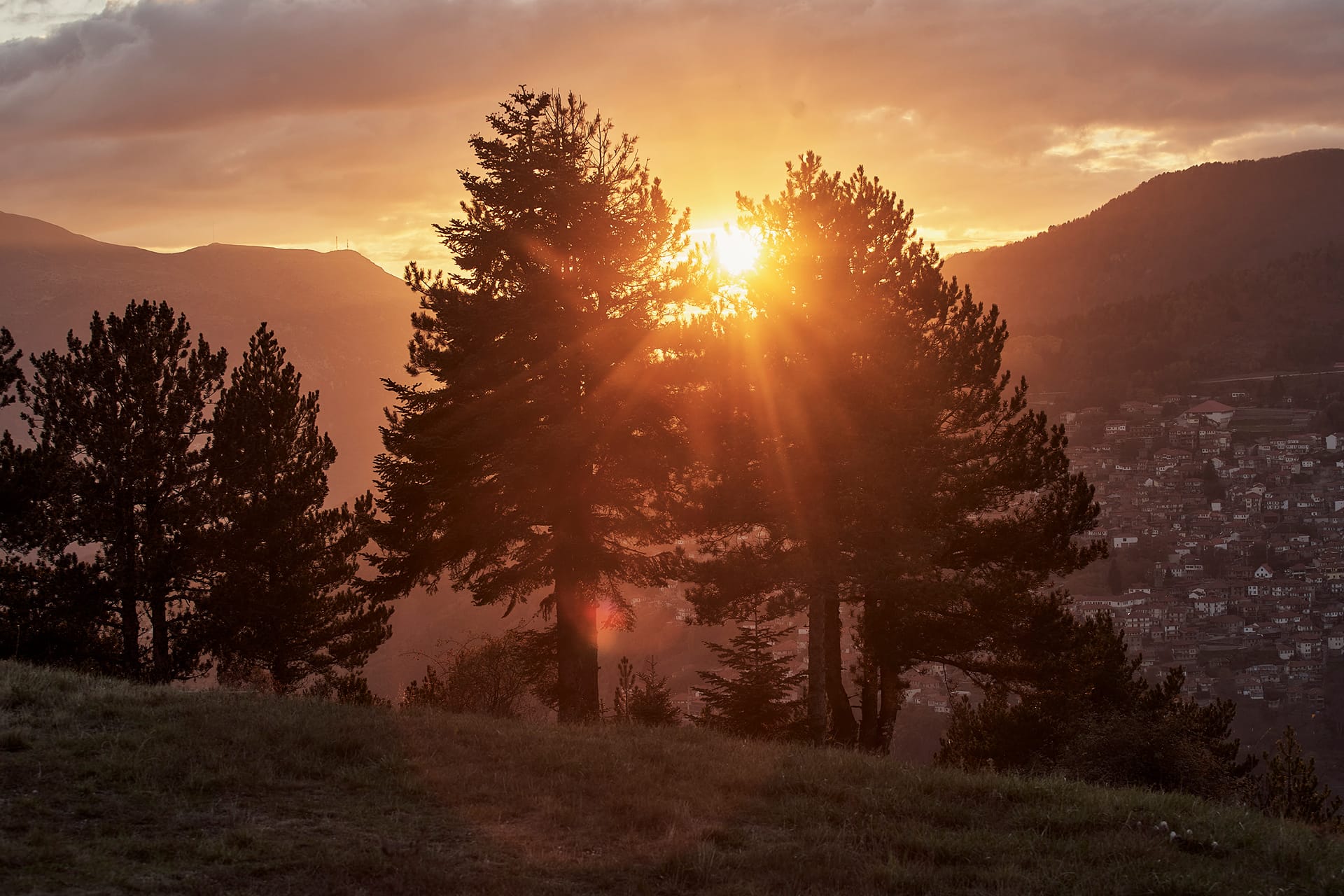 Grand Forest Suite with Metsovo View