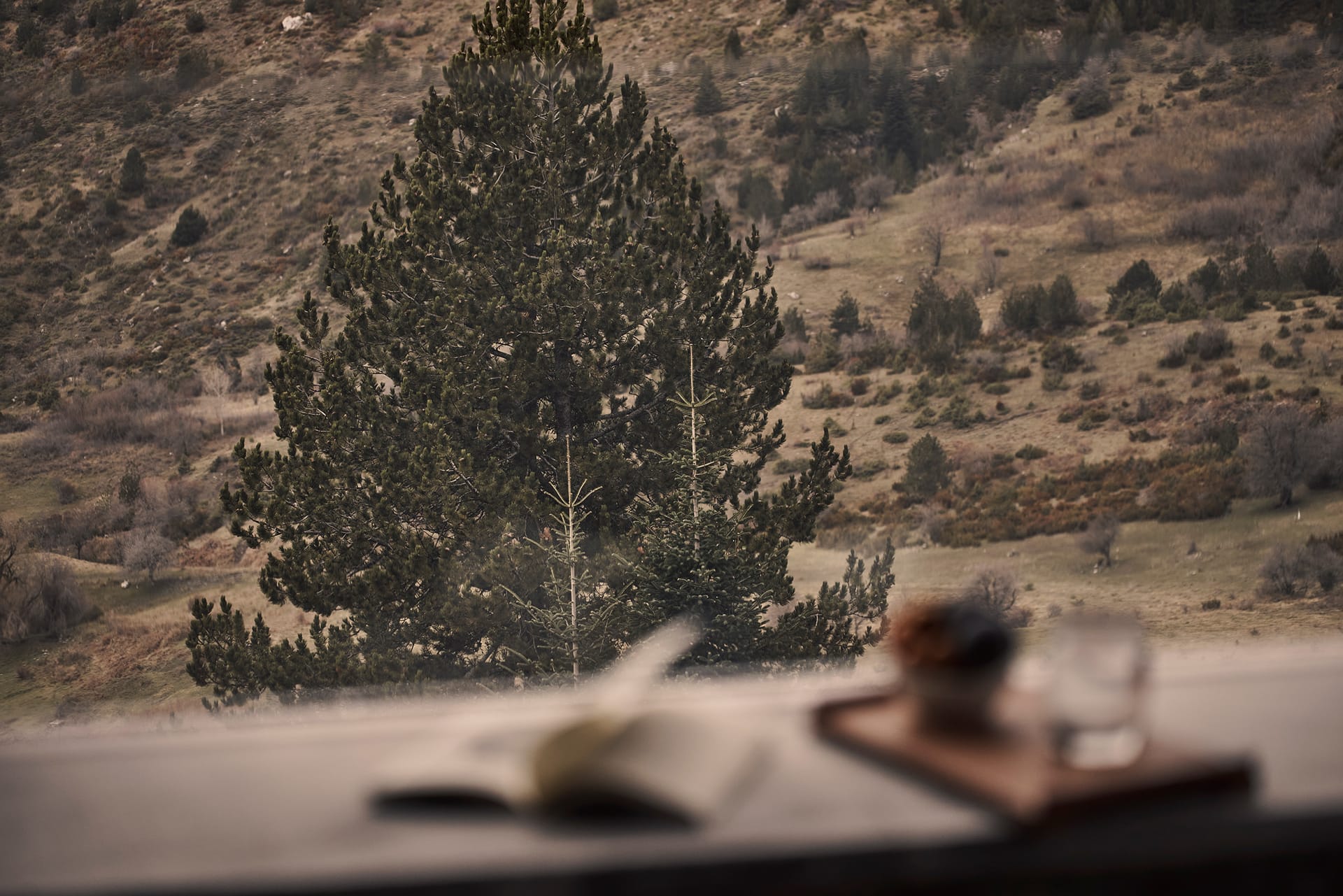 Superior Suite with Mountain View