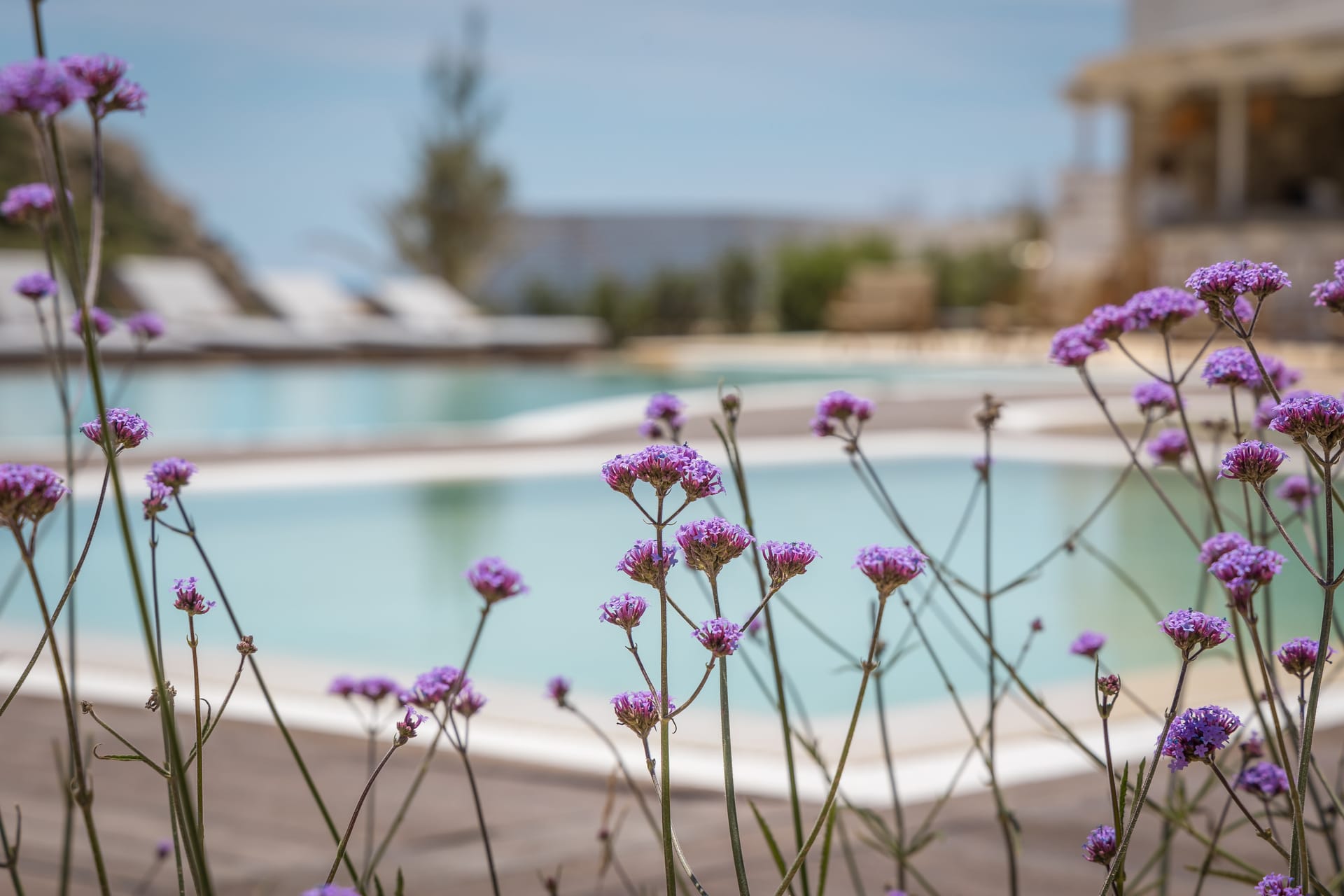 Golden Milos Beach 4 * Golden Milos Beach 4 *