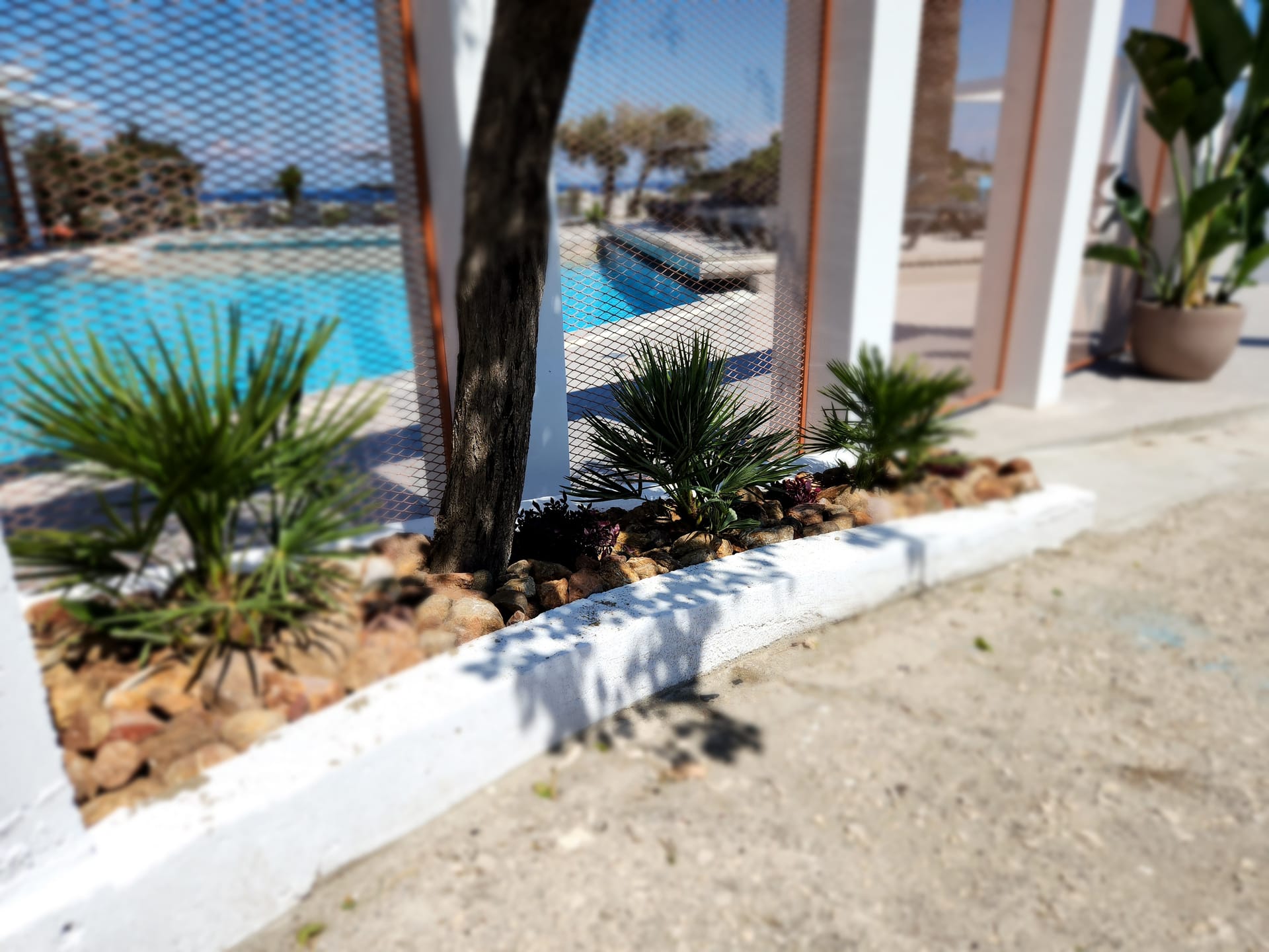 Hillside Studios & Apartments, ,