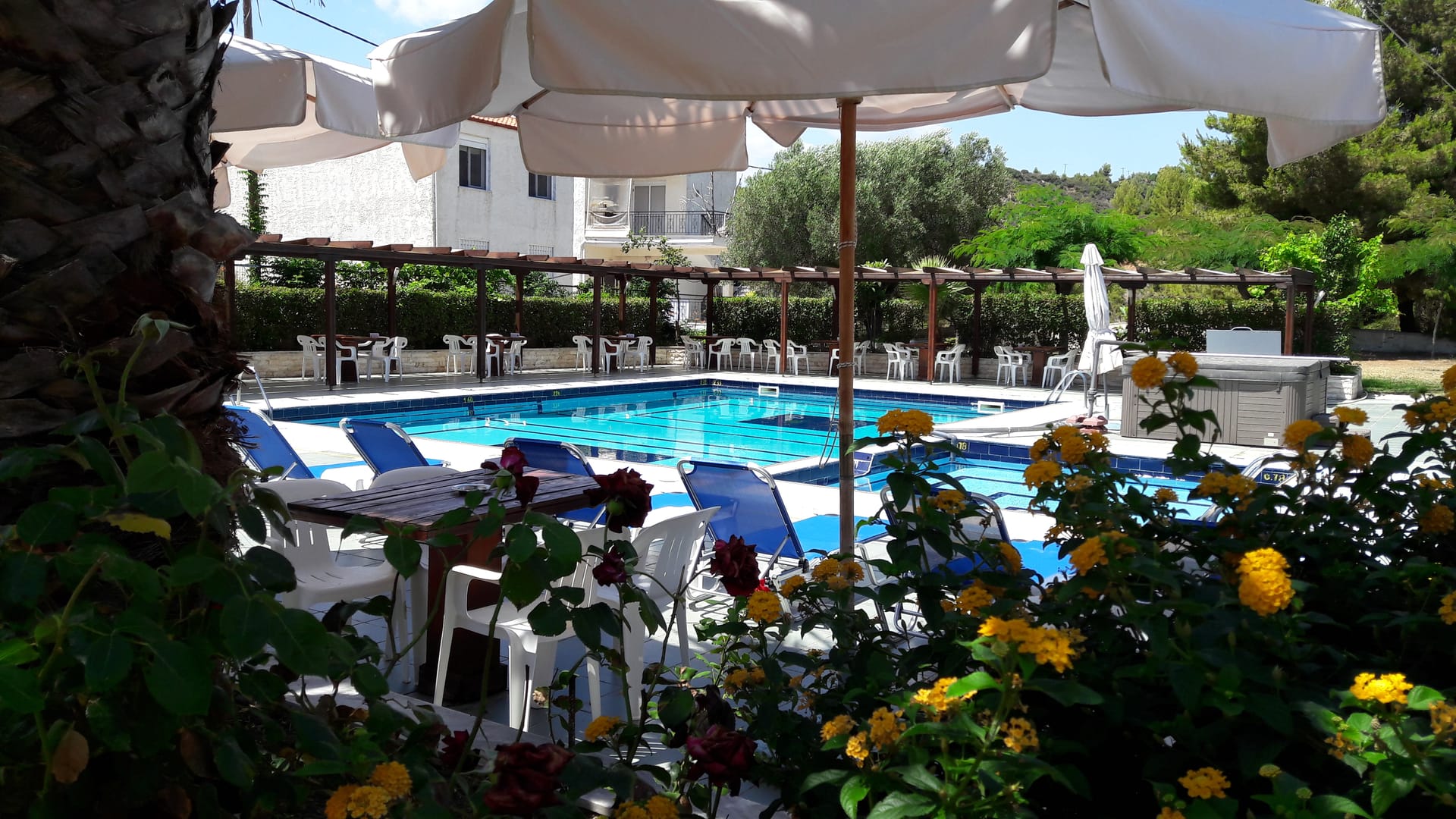 Hotel Aphrodite 3 * - pic #3