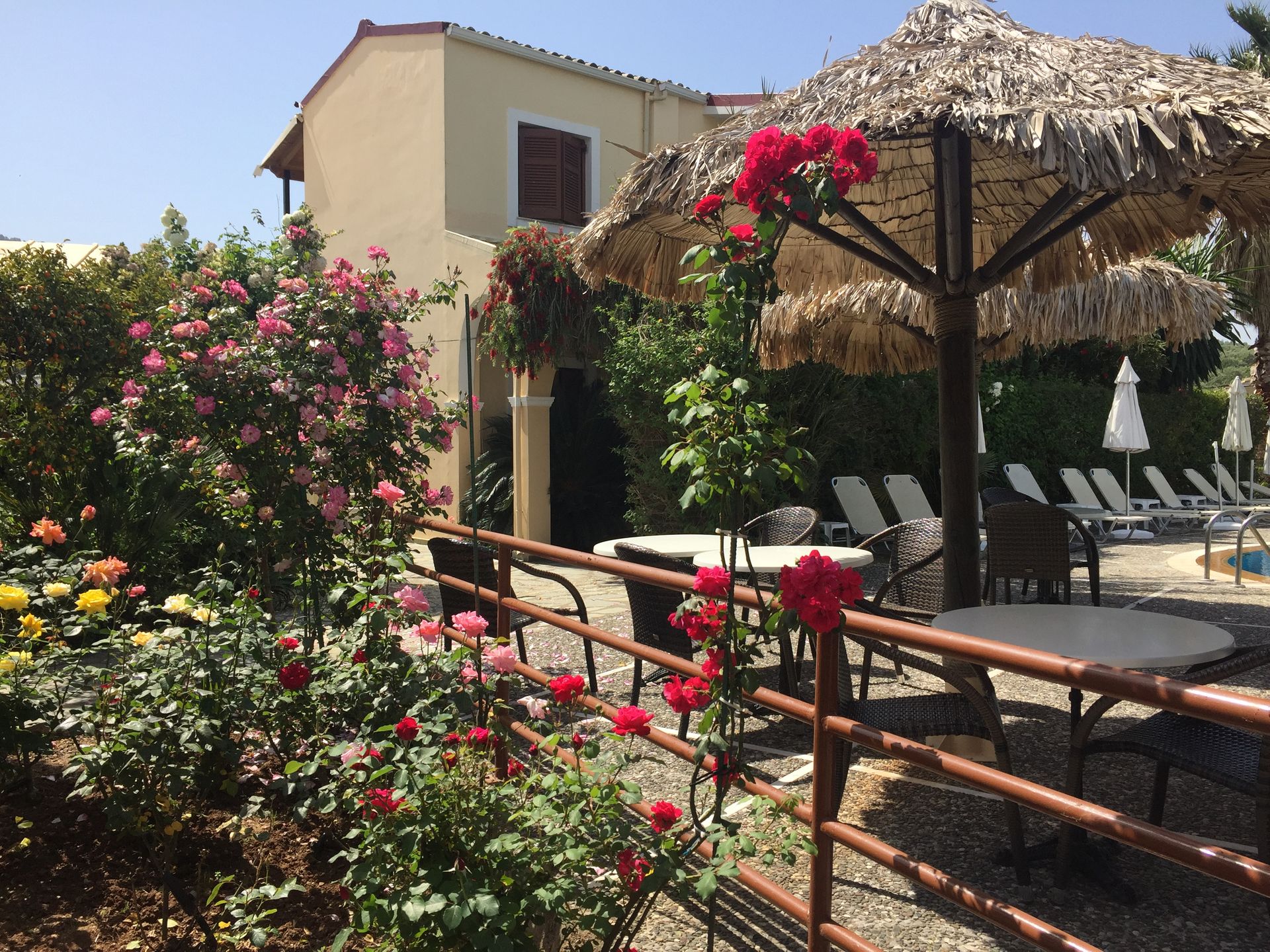 ILena Hotel Corfu ILena Hotel Corfu
