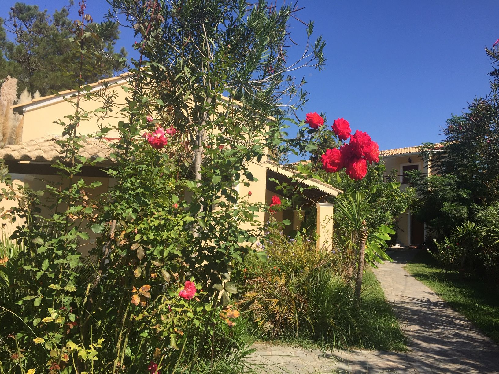 ILena Hotel Corfu ILena Hotel Corfu