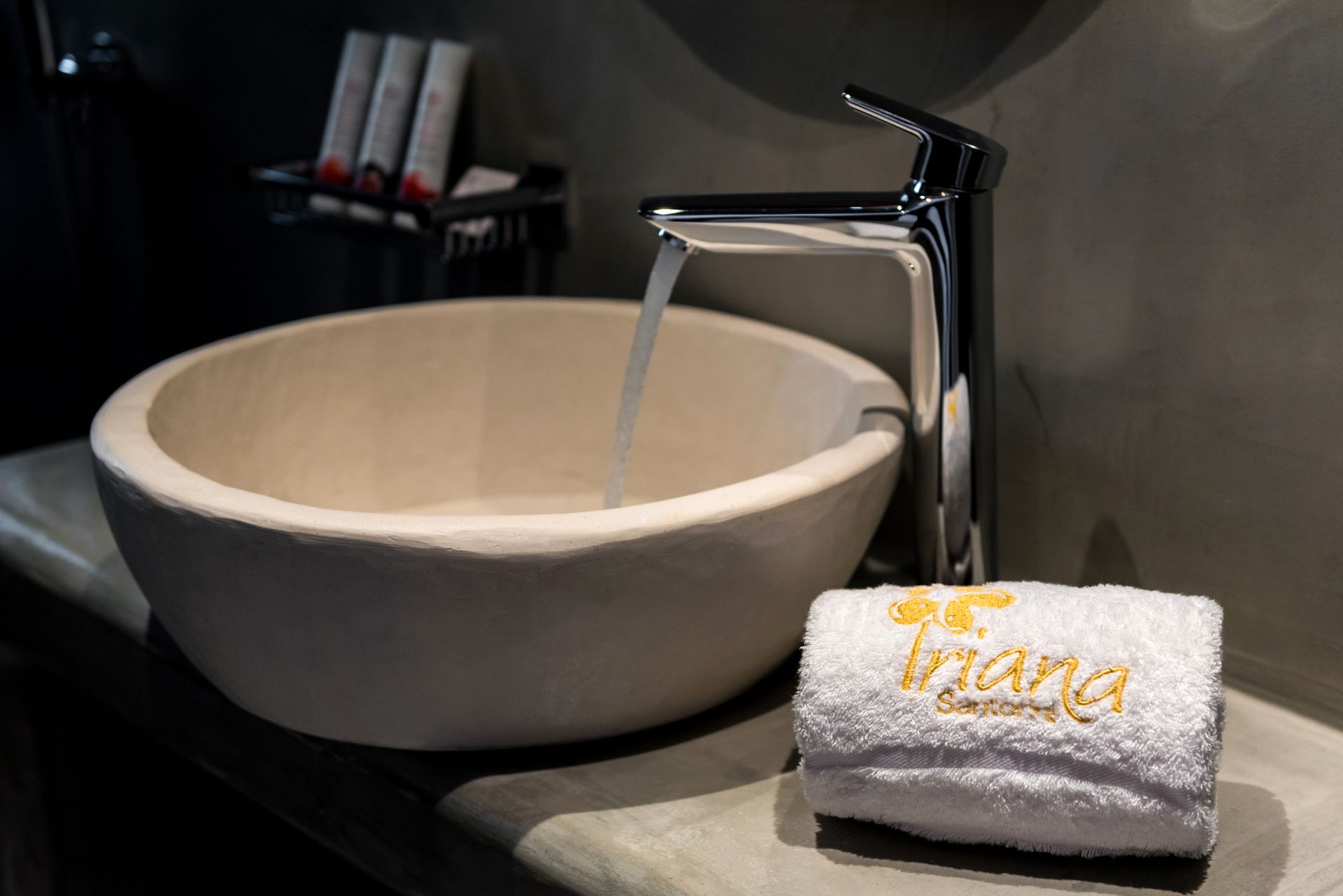 Executive Suite Private Mini Pool and Jet Tub