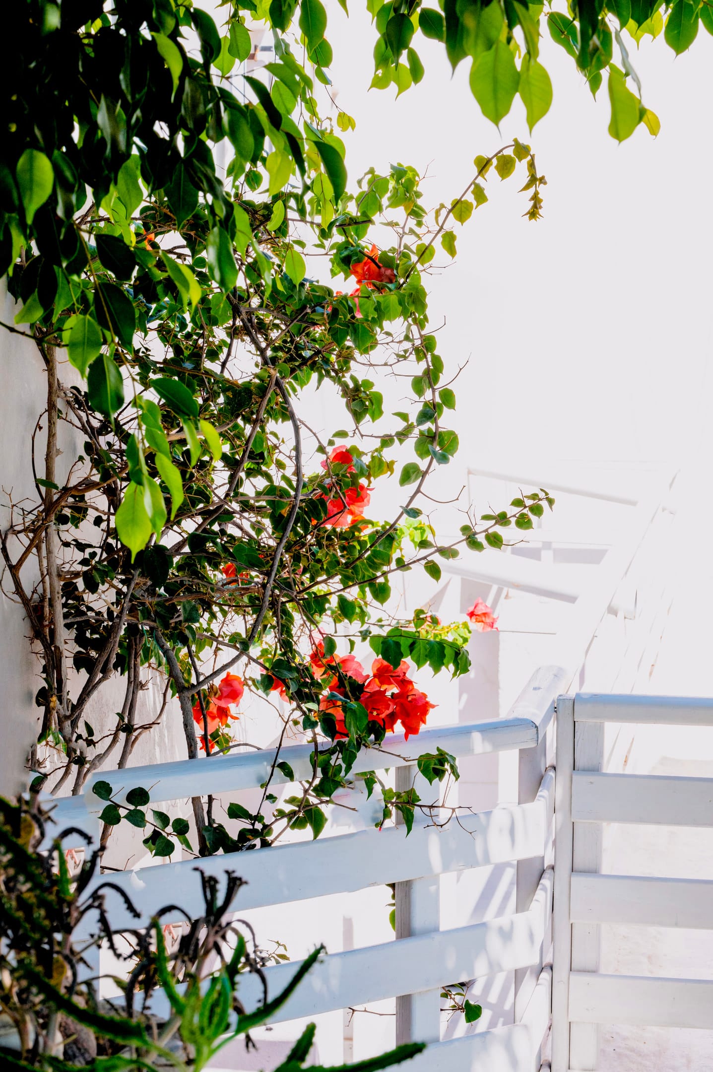 Kamarela Studios 2 *