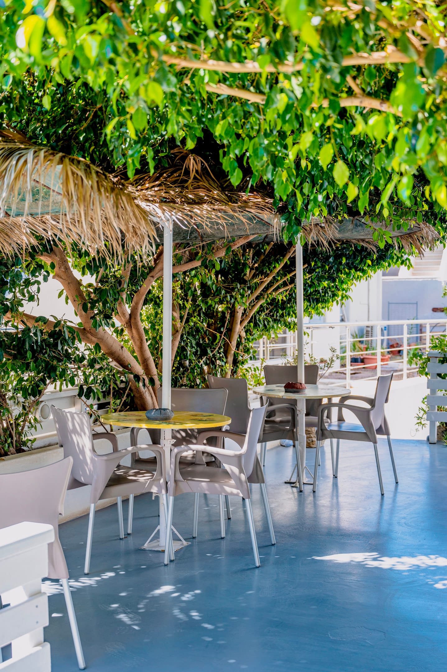 Kamarela Studios 2 *