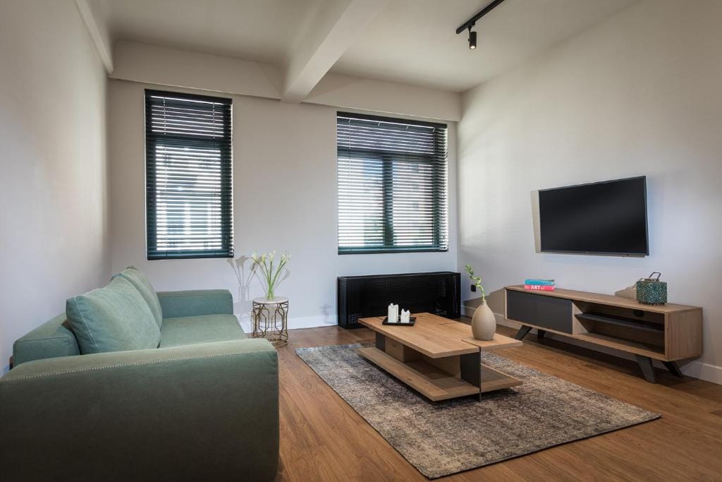 Deluxe Apartment City View