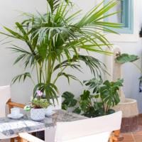 999 Luxury Apartments and Suites, Nafplio, stari grad, Grčka — fotografija 8