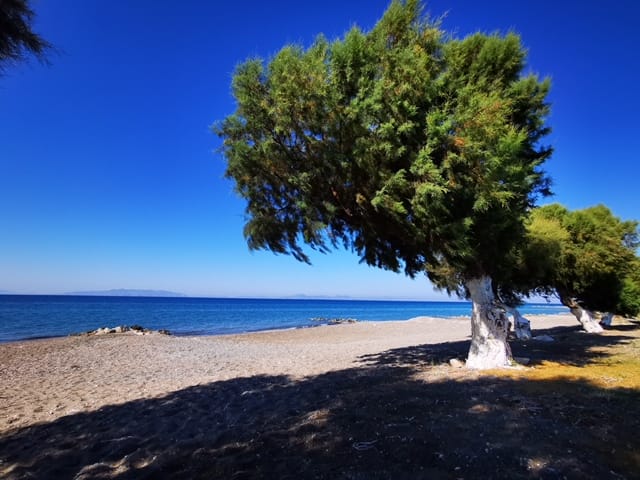 Maistrali Hotel  Restaurant