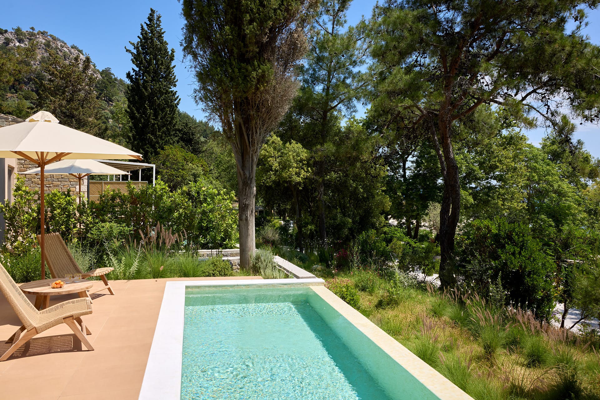 DeLuxe Plus Pool Suite