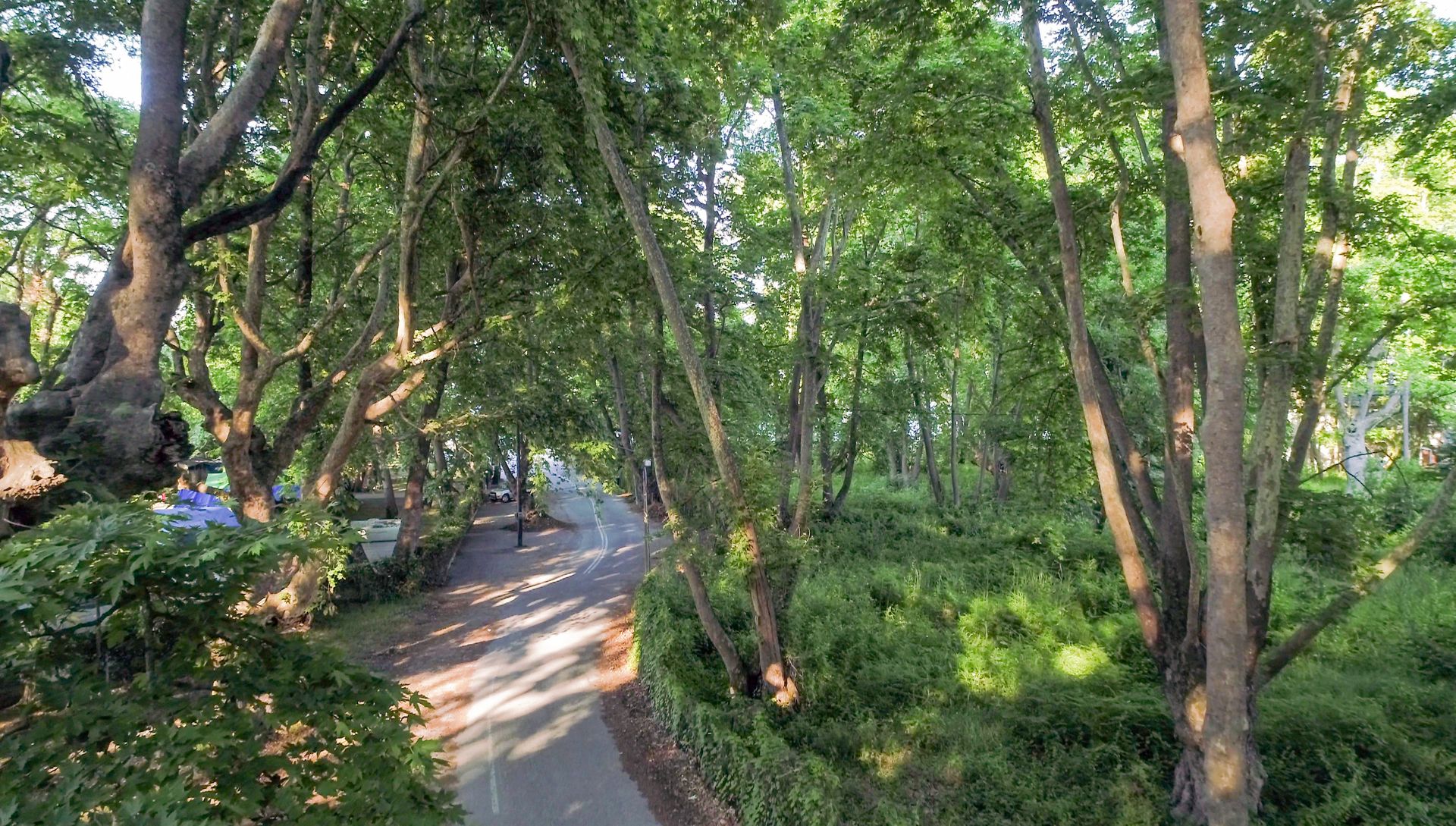 road to beach