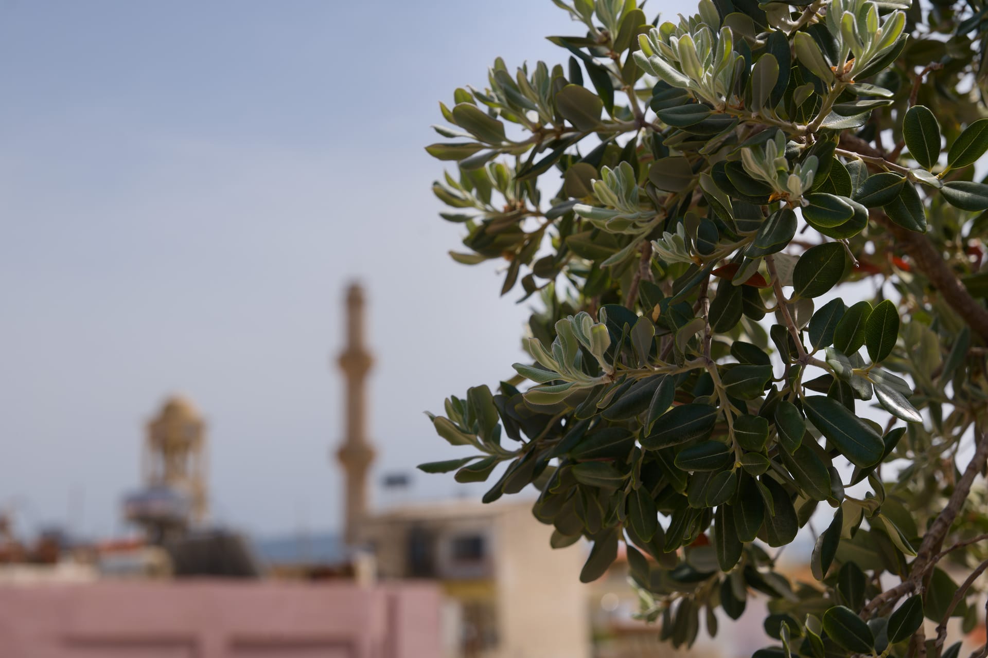 Nival Luxury Suites  Nival Luxury Suites