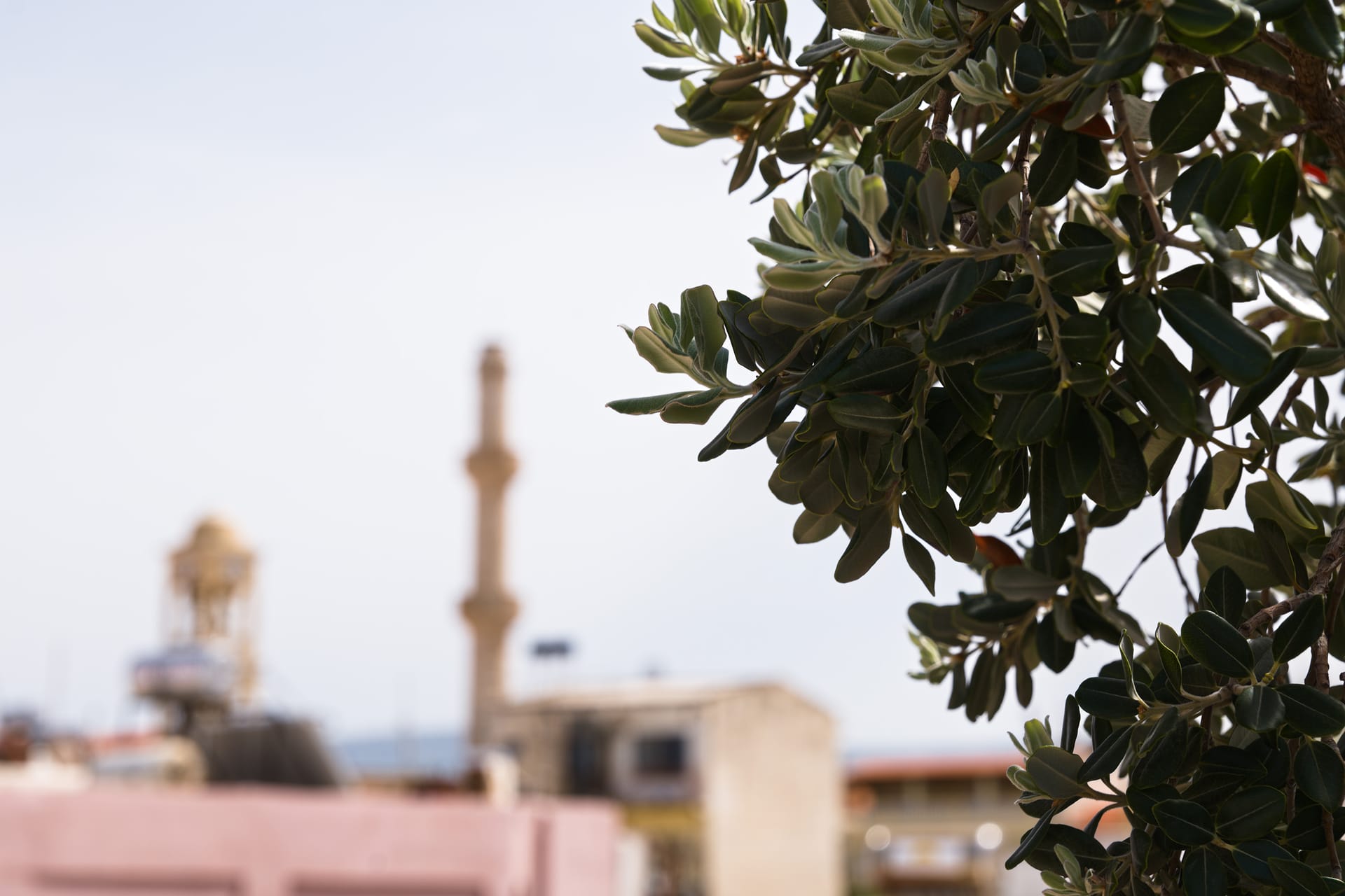 Nival Luxury Suites  Nival Luxury Suites