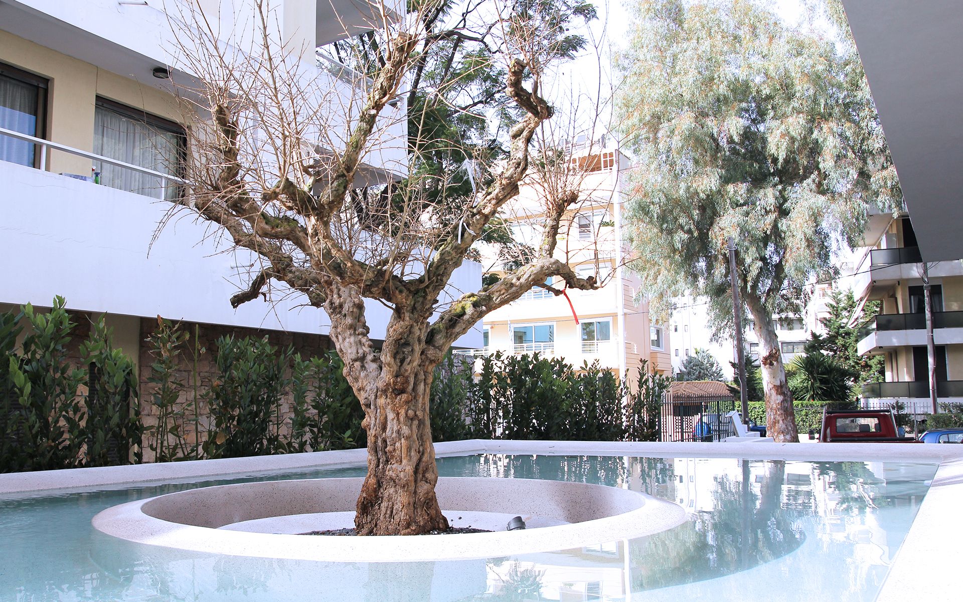 Ogarden Athens