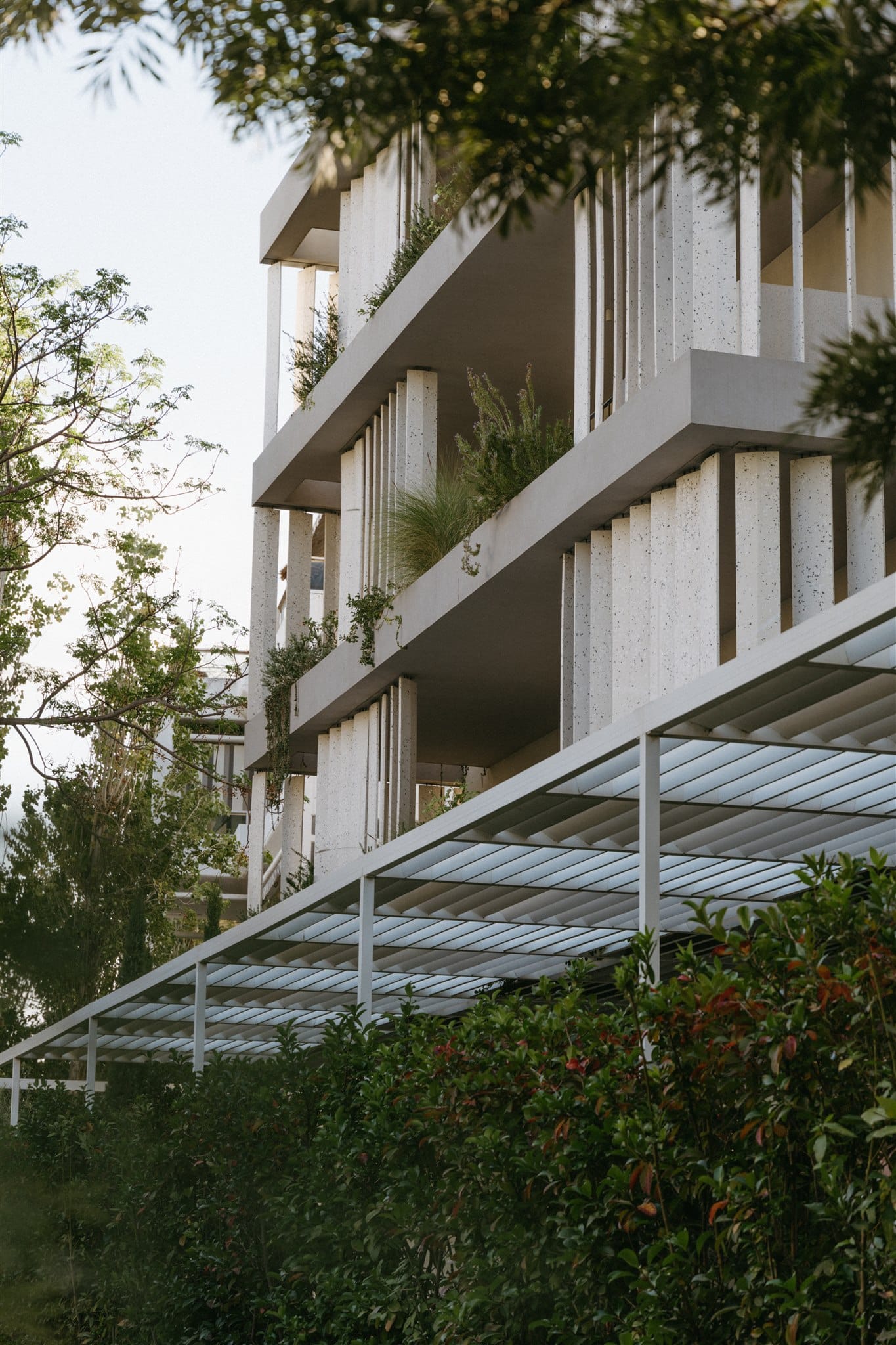 Ogarden Athens, ,