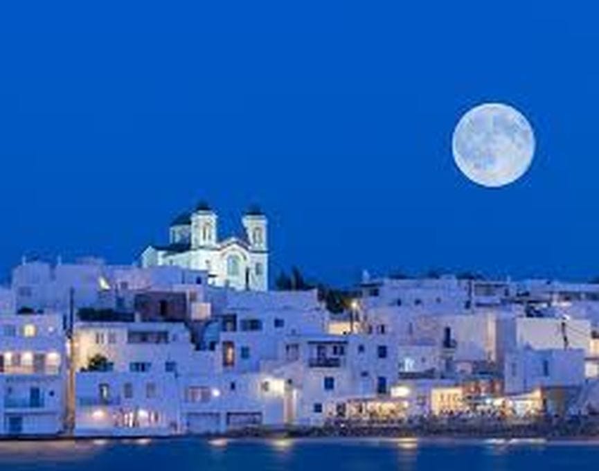 Olive Villas Rentals Paros